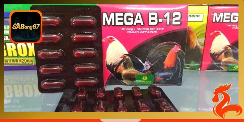 Thuốc Mega B12 cho gà đá