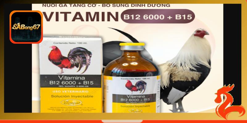 Multivitamin B12 tốt cho gà đá